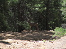 photo thumbnail #8