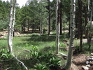 photo thumbnail #14