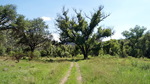 photo thumbnail #12