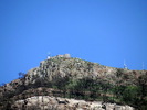 photo thumbnail #8