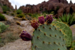 photo thumbnail #7