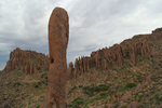 photo thumbnail #11
