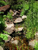 photo thumbnail #11
