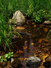 photo thumbnail #12
