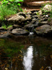 photo thumbnail #15