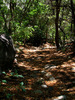 photo thumbnail #2