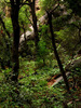 photo thumbnail #14