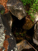 photo thumbnail #15