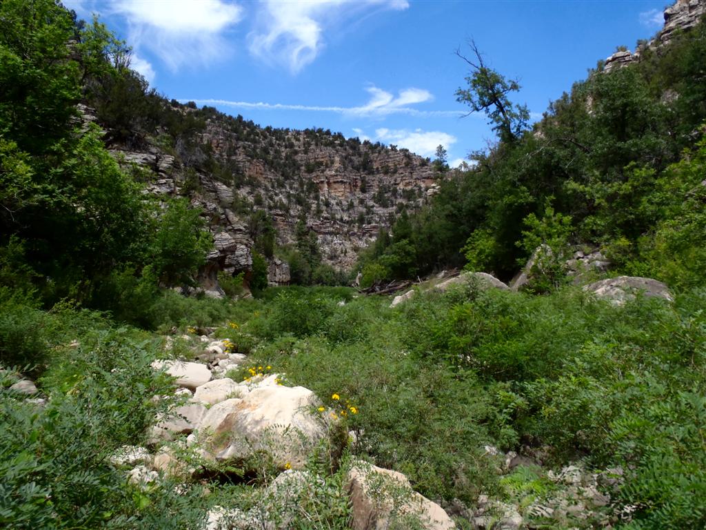 Willow Creek Lower, AZ HikeArizona