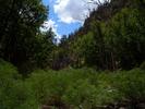 photo thumbnail #3