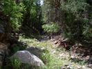 photo thumbnail #8