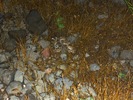 photo thumbnail #10