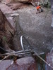 photo thumbnail #11