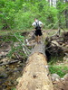 photo thumbnail #4