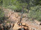 photo thumbnail #9