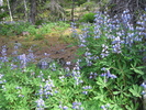 photo thumbnail #9