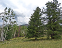 photo thumbnail #11