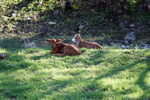 photo thumbnail #8