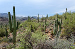 photo thumbnail #1