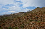 photo thumbnail #6