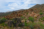 photo thumbnail #7