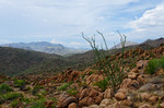 photo thumbnail #9