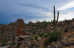 photo thumbnail #12