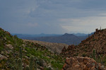 photo thumbnail #13