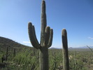 photo thumbnail #2