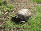 photo thumbnail #3
