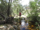 photo thumbnail #8