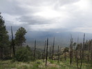 photo thumbnail #14