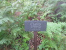 photo thumbnail #15