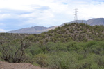 photo thumbnail #3