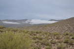 photo thumbnail #11