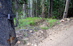 photo thumbnail #14