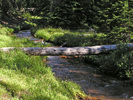 photo thumbnail #8
