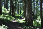 photo thumbnail #6