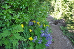 photo thumbnail #12