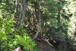 photo thumbnail #13