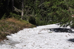 photo thumbnail #14