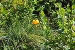 2012-08-01 :1: Margaret Lake Trail :: slegal