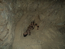 photo thumbnail #4