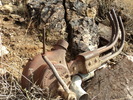 photo thumbnail #5