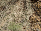 photo thumbnail #11