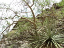 photo thumbnail #13