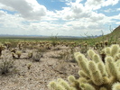 photo thumbnail #15