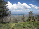 photo thumbnail #8