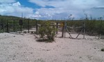 photo thumbnail #1
