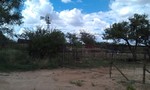 photo thumbnail #3